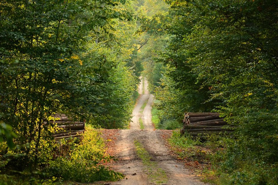 Countryside Road